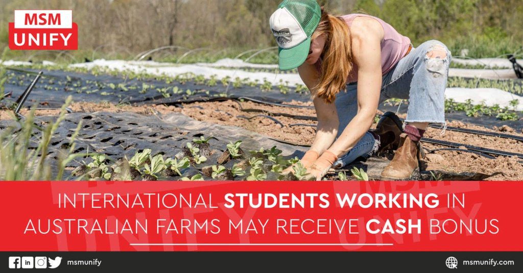 International Students Working in Australian Farms May Receive Cash Bonus