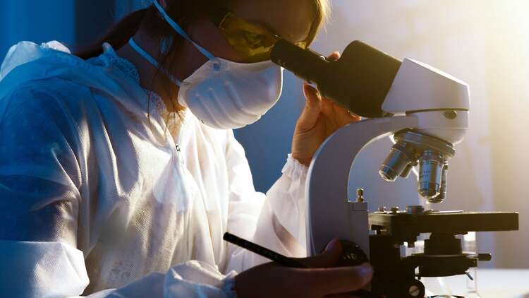 Why Should You Study Biotechnology in Ireland