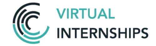 virtual internship