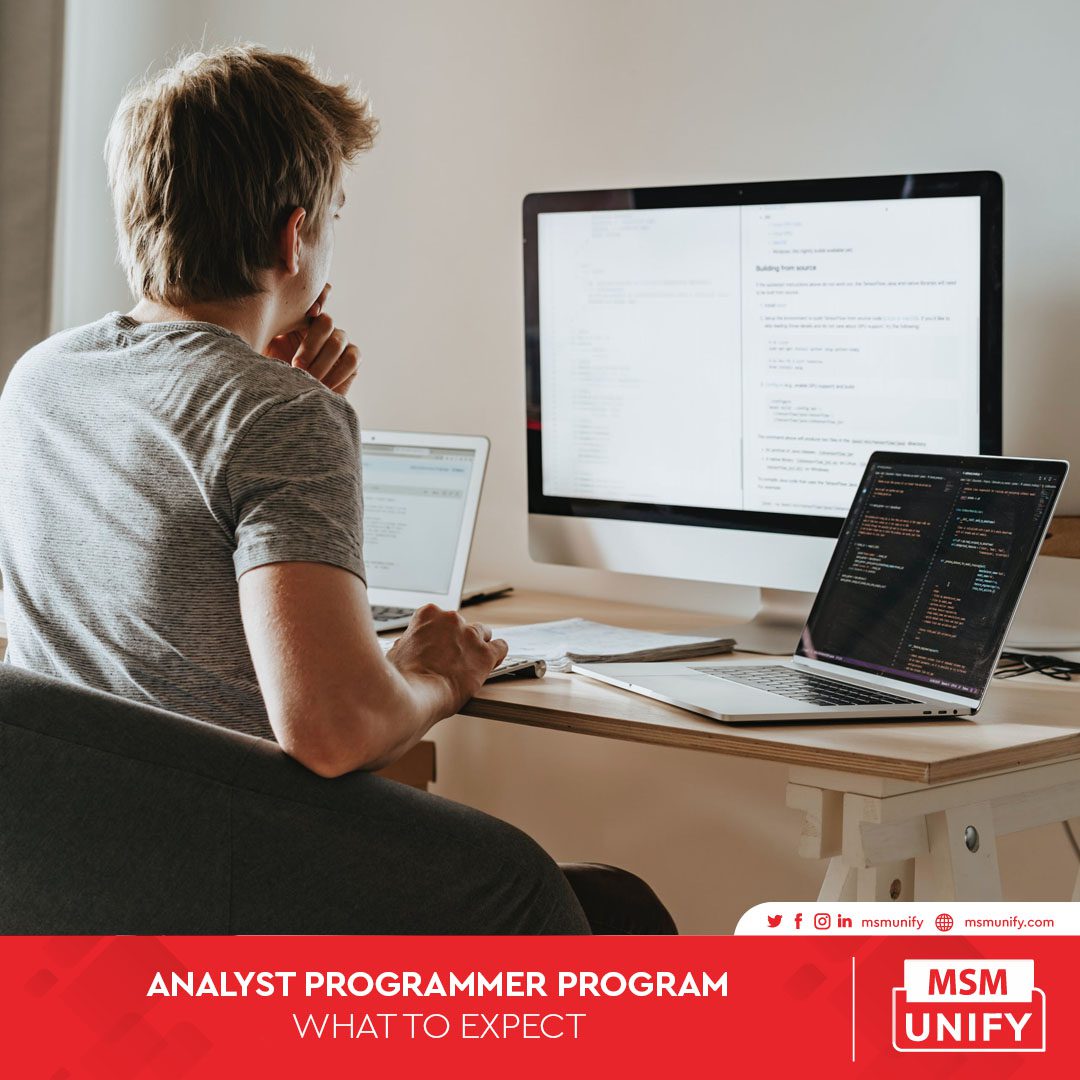 MSM Unify Analyst Programmer Program What to Expect