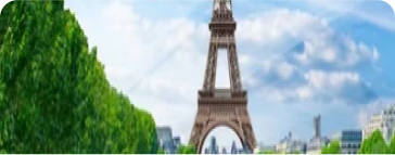 Study in France
